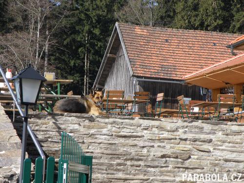 obrázek