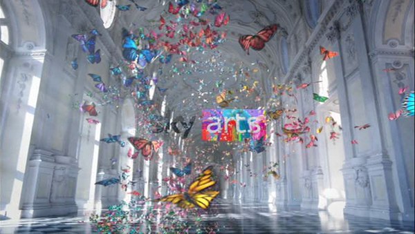 screen-sky-arts-fta.jpg