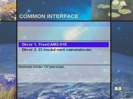 FreeCam2-018