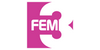 FEM3