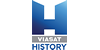 Viasat History