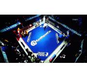 FIGHT BOX HD 16E/ 11.823/ V/ 30.000